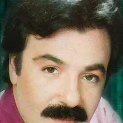 ferdi-tayfur-bana-da-syle-cover-image