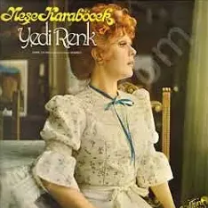 nee-karabcek-gnn-birinde-cover-image