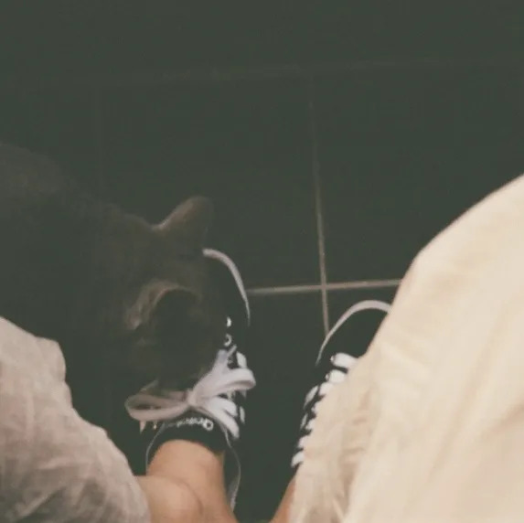 내가 잠에서 깨면 구워 먹어줘