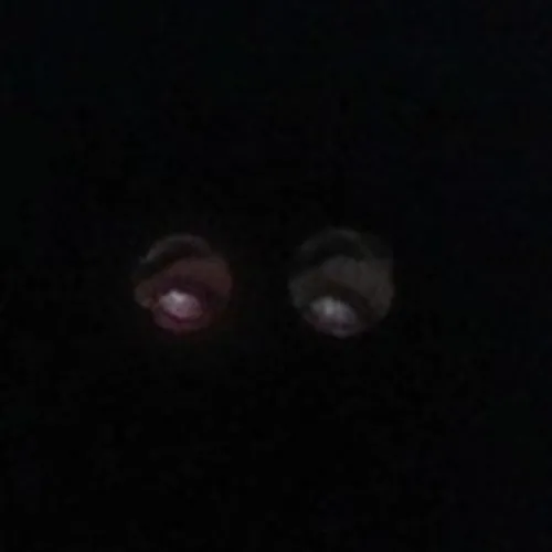 coveImg