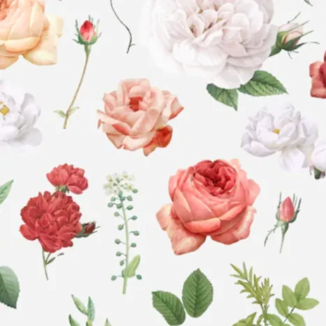 ပိုးစုန္းၾကဴ းေလးရွက္ေနၿပီ