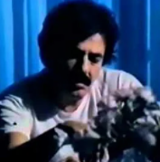 Bu Sehrin Geceleri