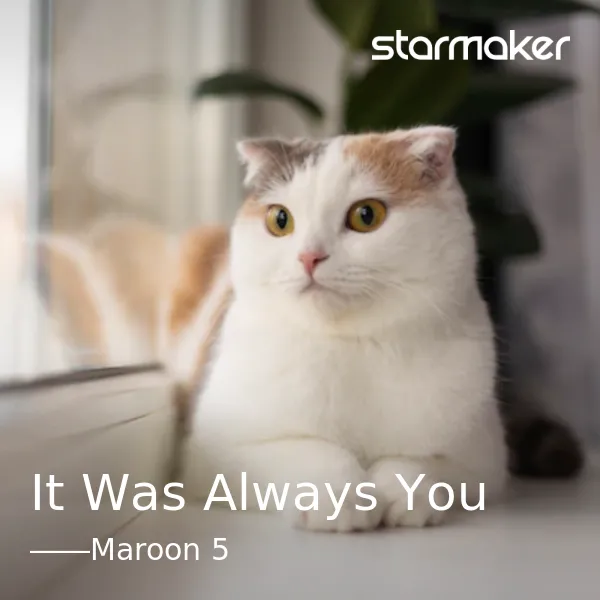 maroon-5-it-was-always-you-cover-image