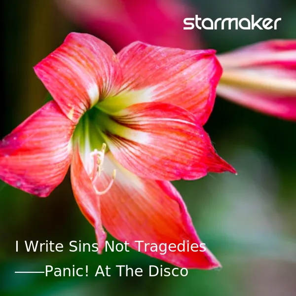 I Write Sins Not Tragedies