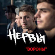 Вороны