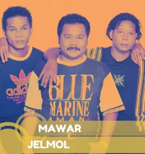 jelmol-mawar-cover-image