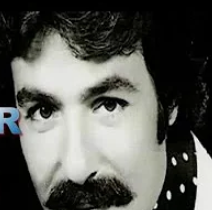 ferdi-tayfur-haluk-levent-anlasana-cover-image