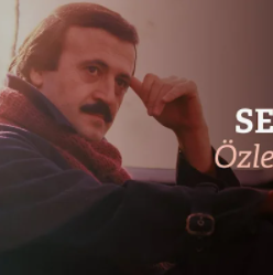 selami-ahin-zledim-her-eyini-cover-image