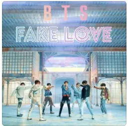 Fake Love