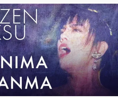 sezen-aksu-anma-nanma-cover-image