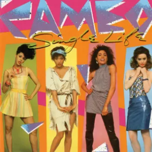 Attack Me With Your Love