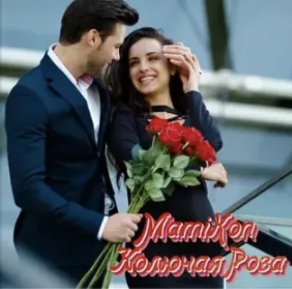 Колючая Роза