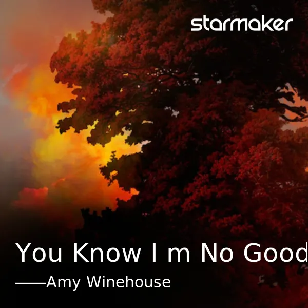 You Know I'm No Good