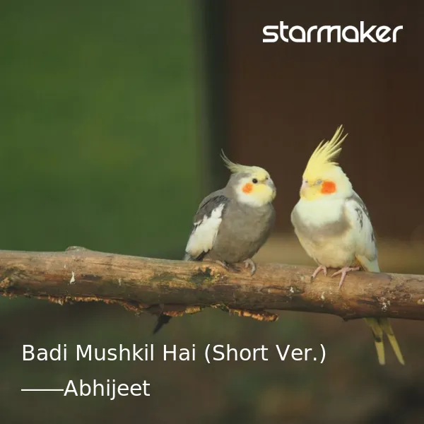 Badi Mushkil Hai (संक्षिप्त संस्करण)