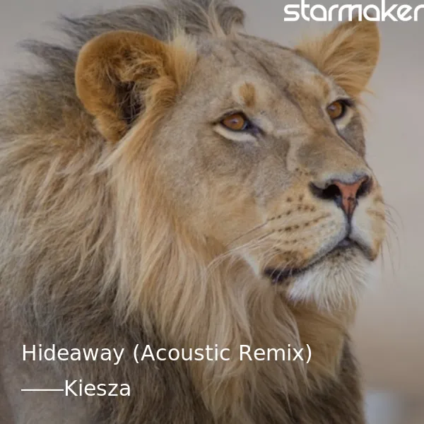 Hideaway (Acoustic Remix)