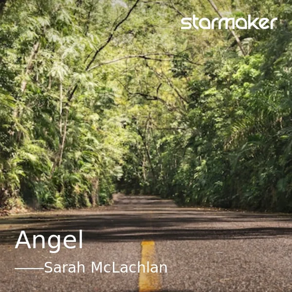 sarah-mclachlan-angel-cover-image