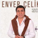 Bir Delinin Delisiyim