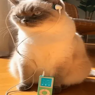 coveImg