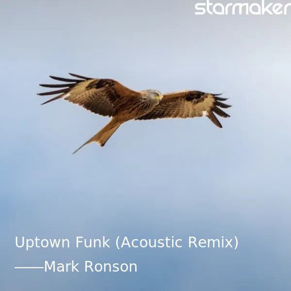 Uptown Funk (Acoustic Remix)