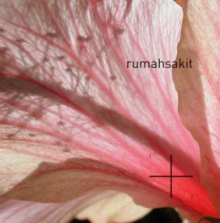 rumahsakit-anomali-cover-image