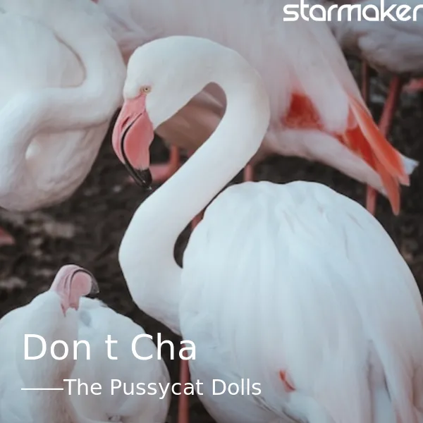 Don't Cha