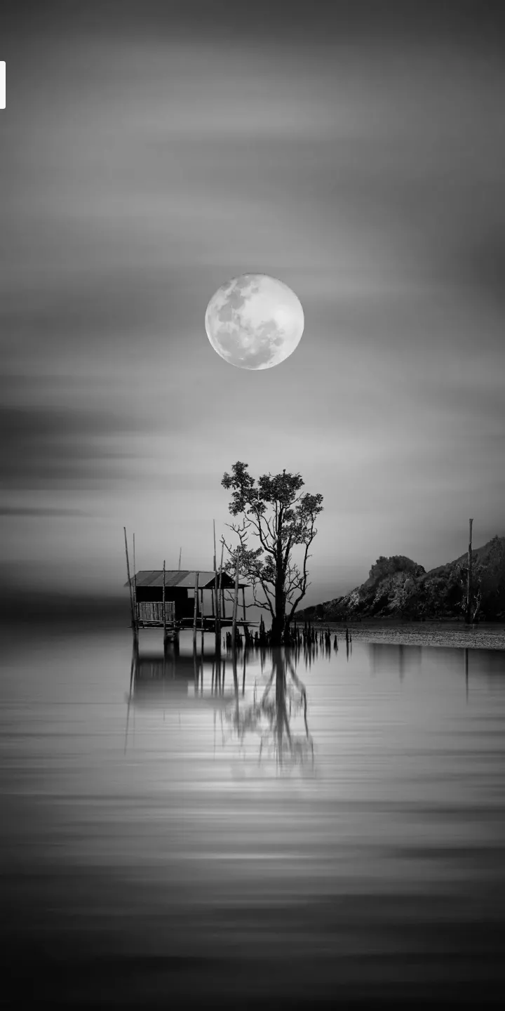 THAMOISINA MAROL BY BIG BRO LION