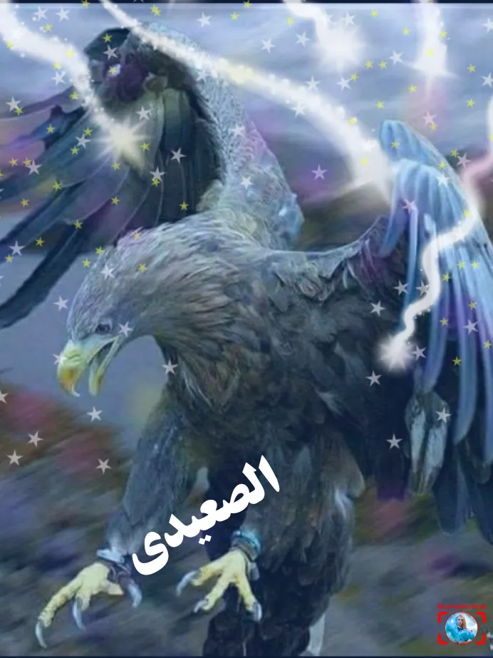 محمد ديو