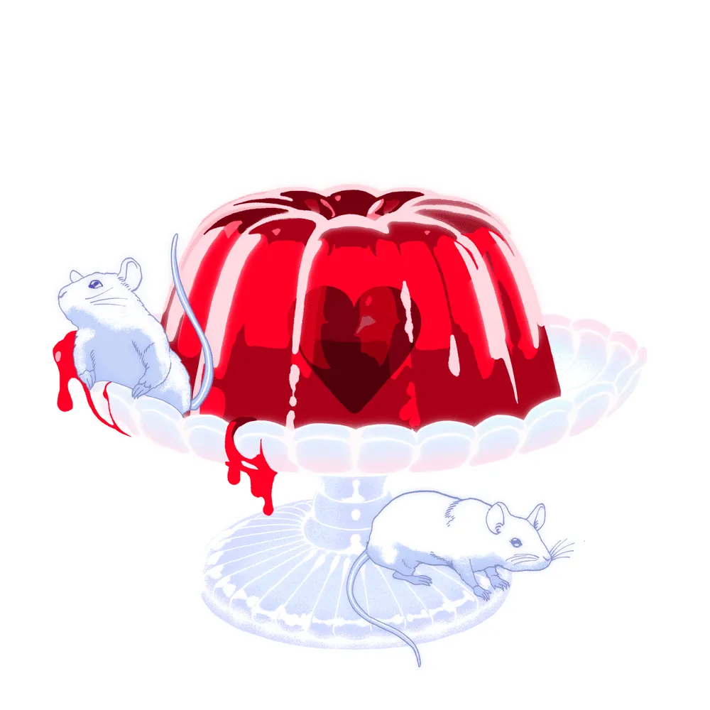 밤양갱 [BAM YANG GANG] - BIBI