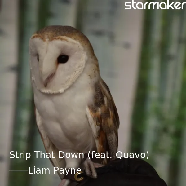 Strip That Down (feat. Quavo)