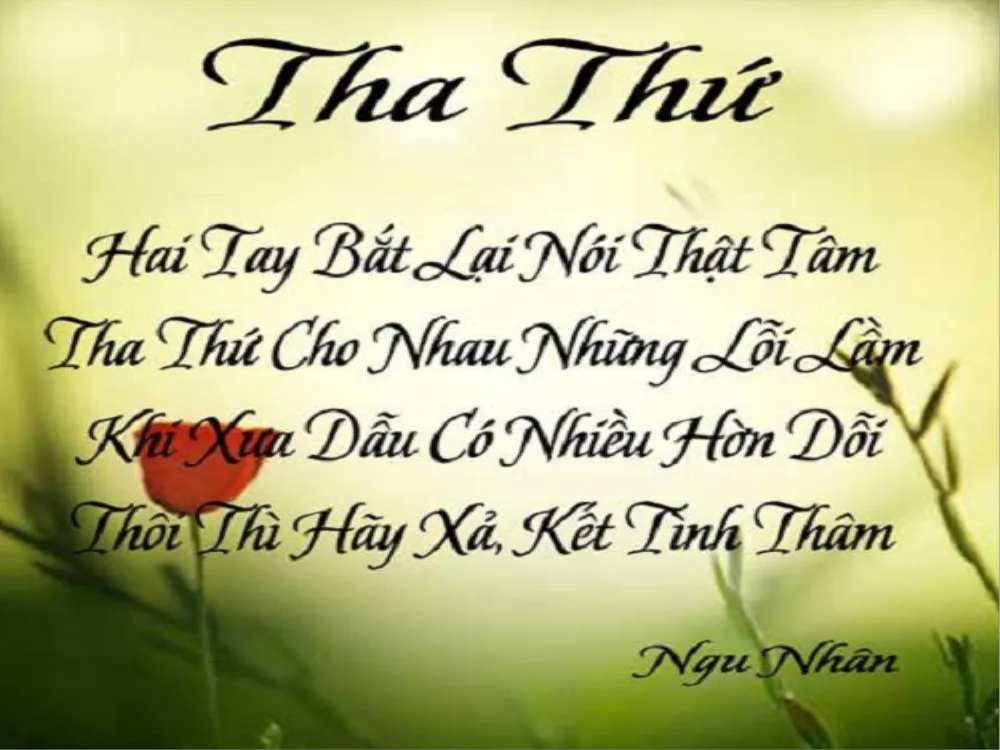 Anh khong tha thu