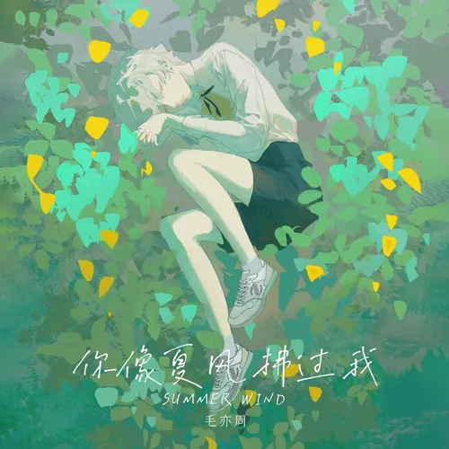 你像夏风拂过我
