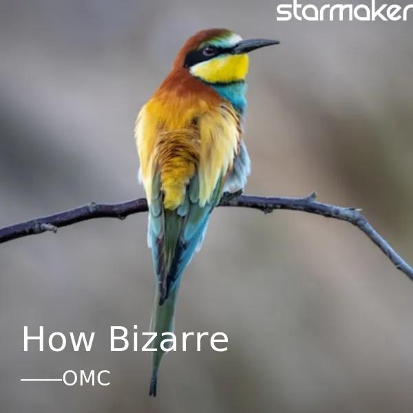 omc-how-bizarre-cover-image