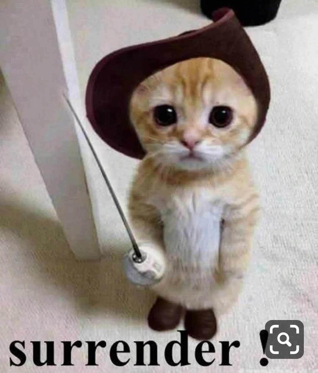 coveImg