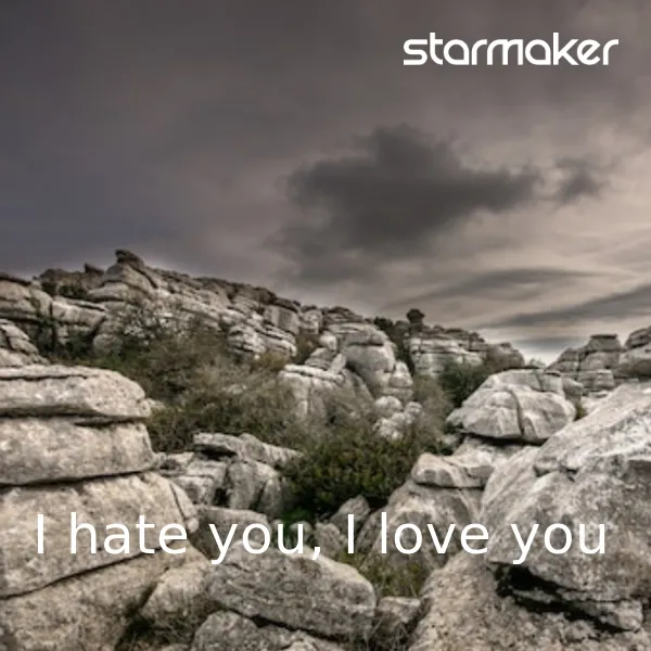 I hate you, I love you