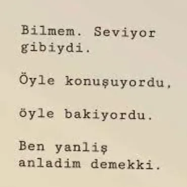 Seviyor Gibiydi siir