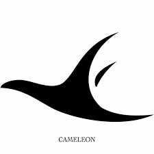 coveImg