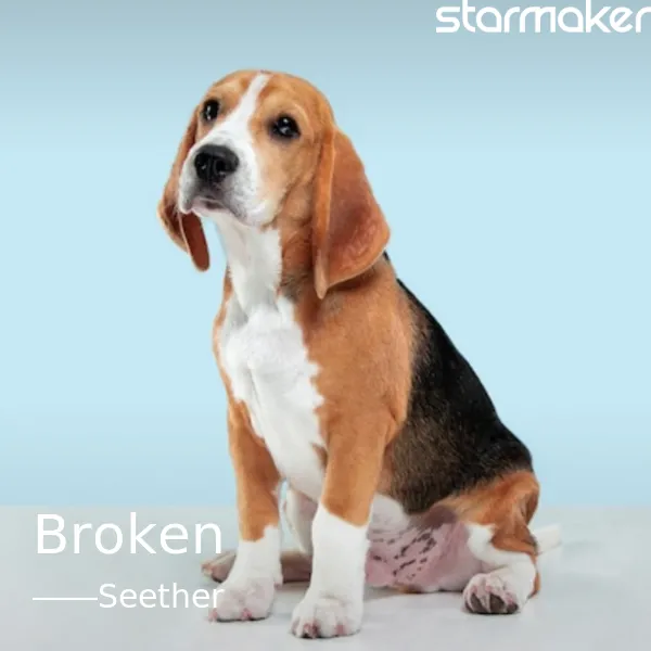 seetheramy-lee-broken-cover-image