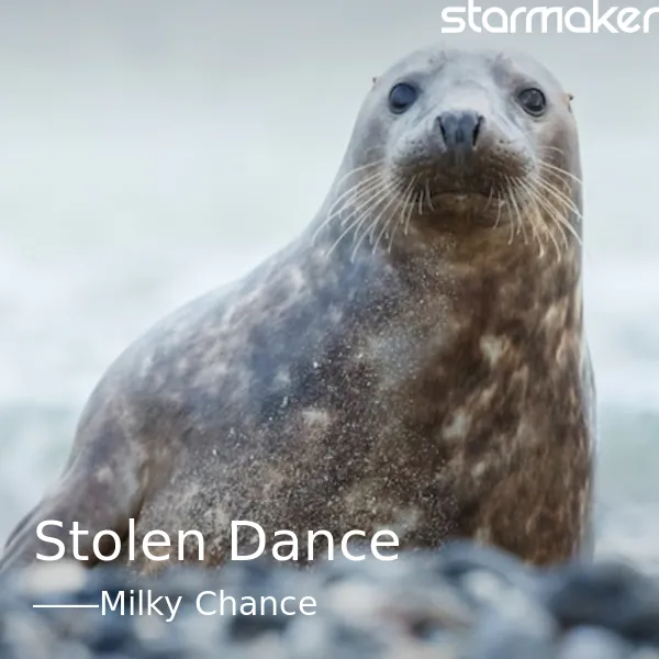 Stolen Dance