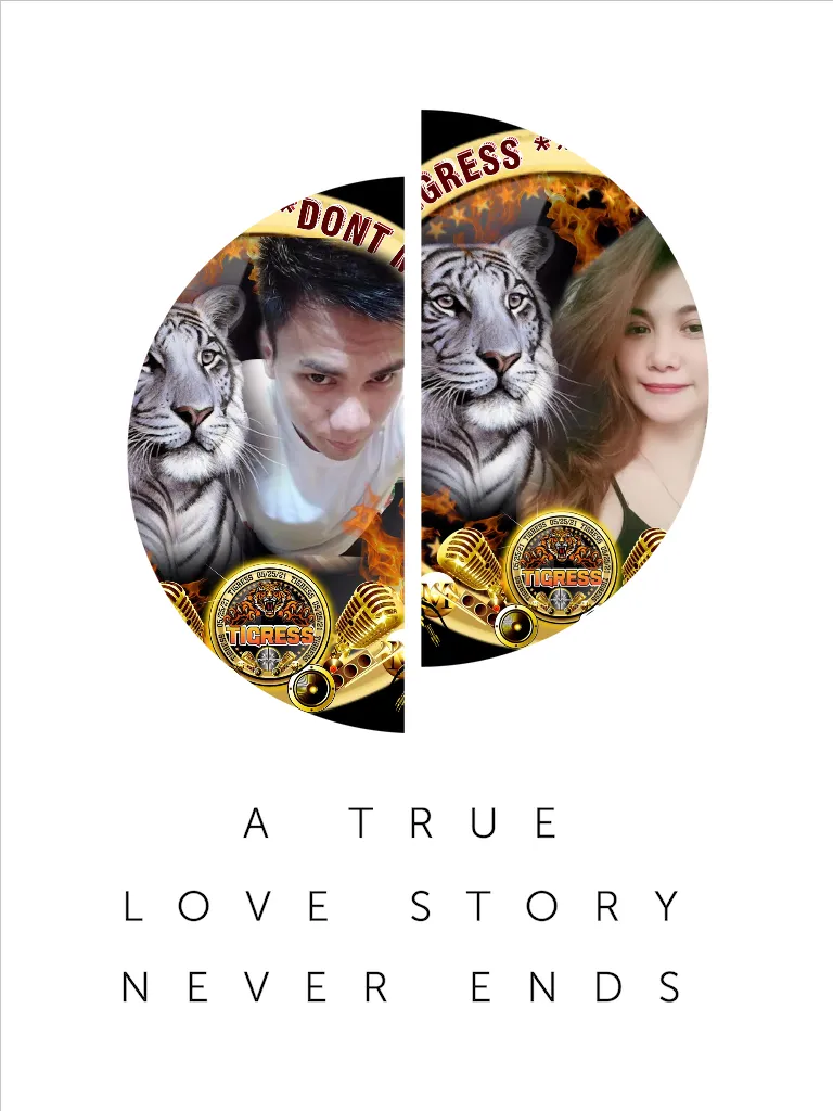 snow angel and norms (born for you track)