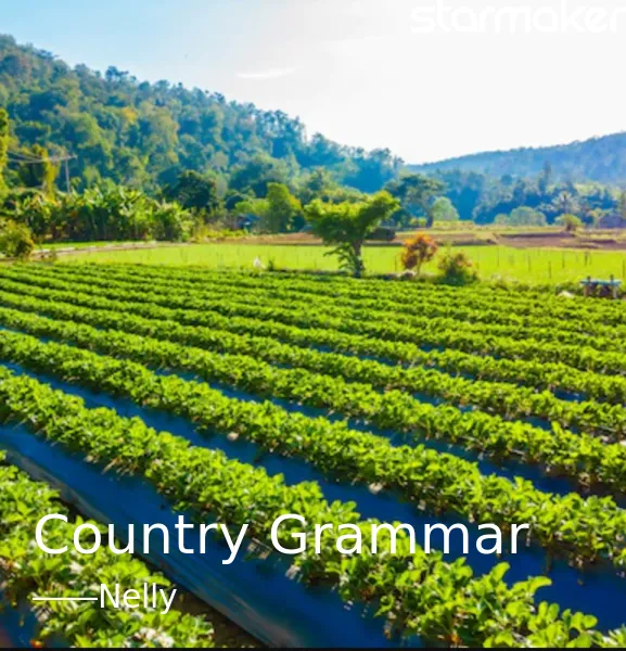 nelly-country-grammar-cover-image