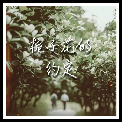 栀子花的约定