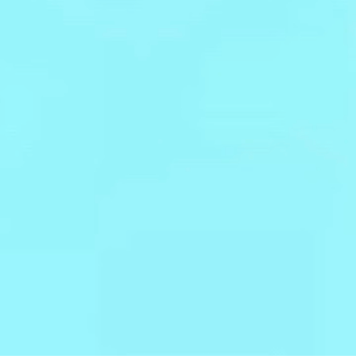 봄눈 (Spring Snow)