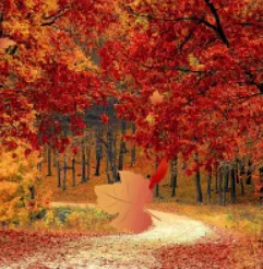 tual-aylardan-kasm-cover-image