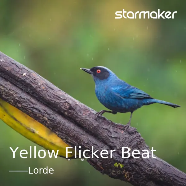 Yellow Flicker Beat