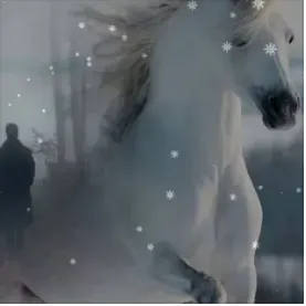 Погоняю лошадей