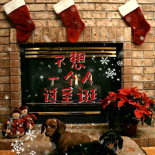 不想一个人过圣诞