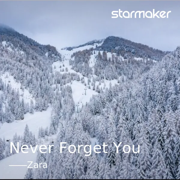 Never Forget You
