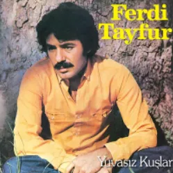 Aramızda Engeller Var