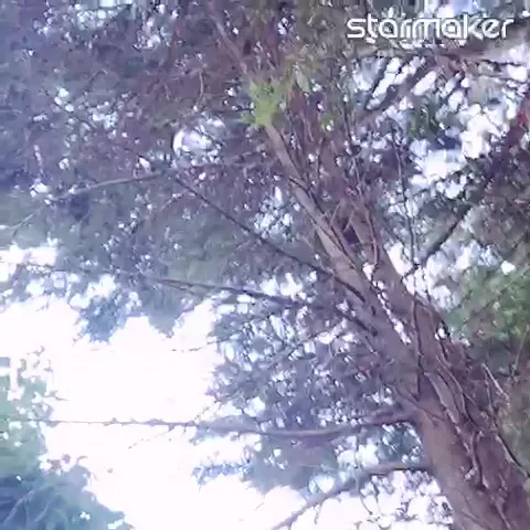 Harishhappy Just Sang The Song Aaj Dil Pe Koi Zor Chalta Nahi How Can The Voice Be So Amazing Hitesh garg yıl önce +2. starmaker