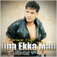 Punchi Samanaliපුංචි සමනළී
